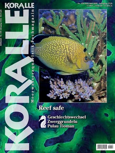Koralle Ausgabe 2026159