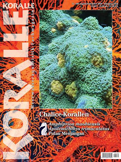 Koralle Ausgabe 2026160
