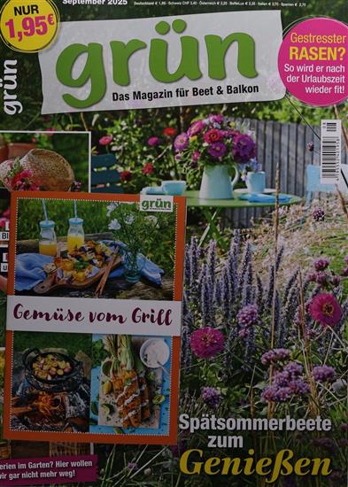 Grün Ausgabe 2025008