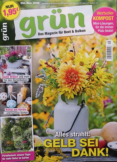 Grün Ausgabe 2025009