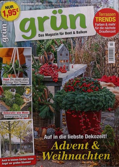 Grün Ausgabe 2025010