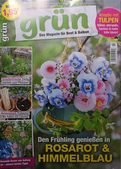 Grün Ausgabe 2026002