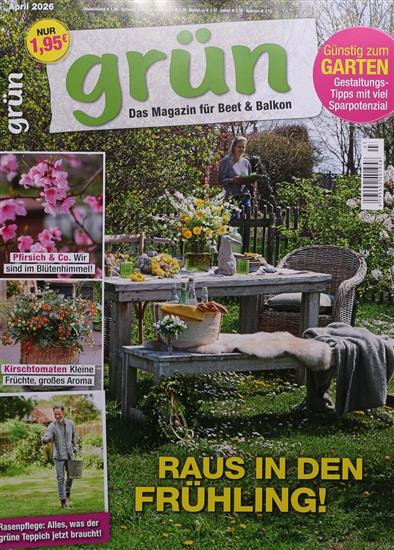 Grün Ausgabe 2026003