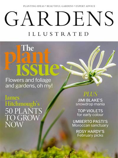 Gardens Illustrated Ausgabe 2026002