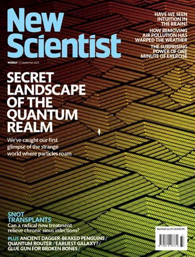 New Scientist England Ausgabe 2025037