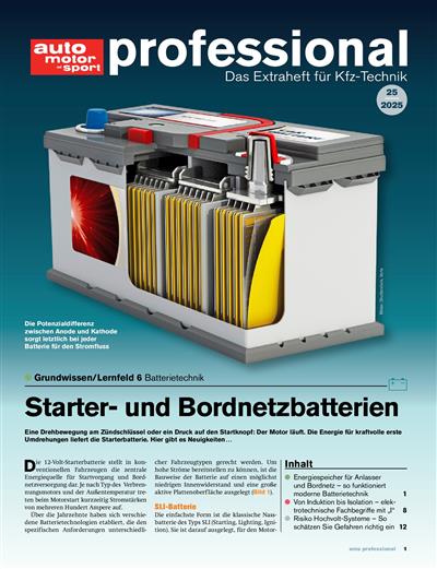 Auto Motor und Sport professional Ausgabe 2025025