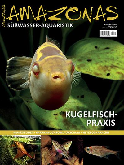Amazonas Ausgabe 2026125