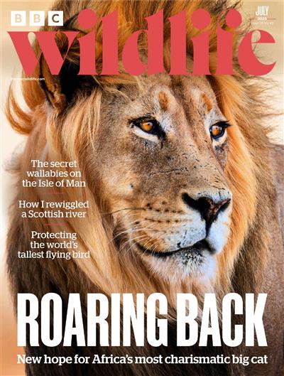 BBC Wildlife Ausgabe 2025007