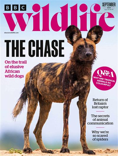 BBC Wildlife Ausgabe 2025009