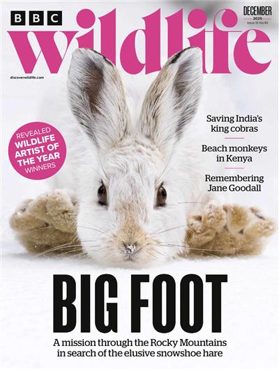 BBC Wildlife Ausgabe 2025012