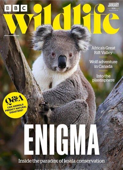 BBC Wildlife Ausgabe 2025013