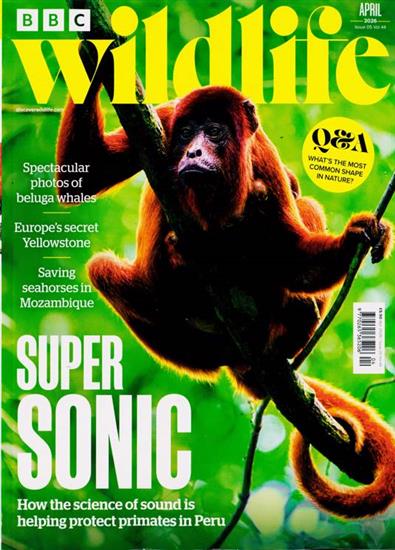 BBC Wildlife Ausgabe 2026004