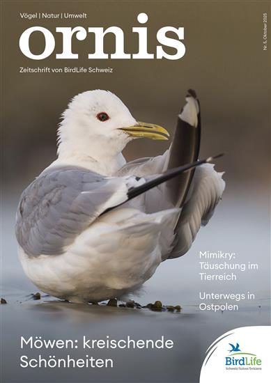 Ornis Ausgabe 2025005