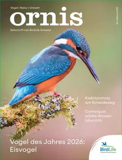 Ornis Ausgabe 2026001