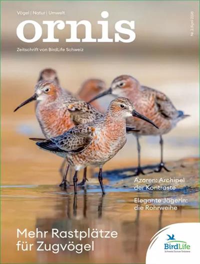 Ornis Ausgabe 2026002