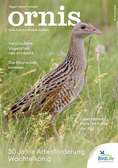 Ornis Ausgabe 2026003