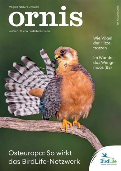 Ornis Ausgabe 2026004