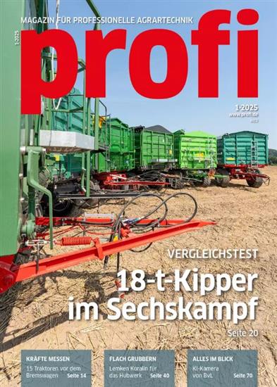 Profi Ausgabe 2025001