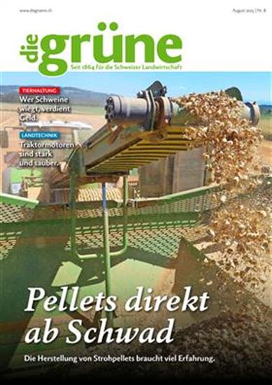 Die Grüne Ausgabe 2025008