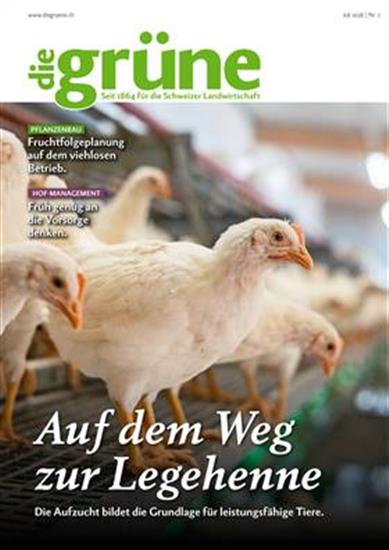 Die Grüne Ausgabe 2026007