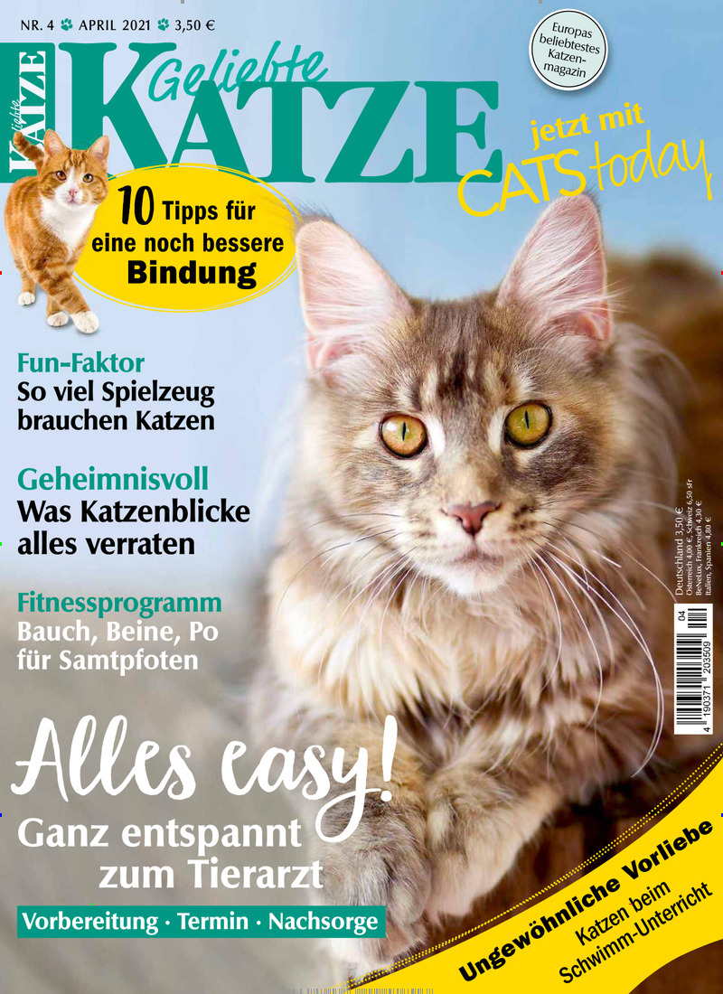 Geliebte Katze Abo 35% Rabatt auf Mini- & Geschenkabo ...