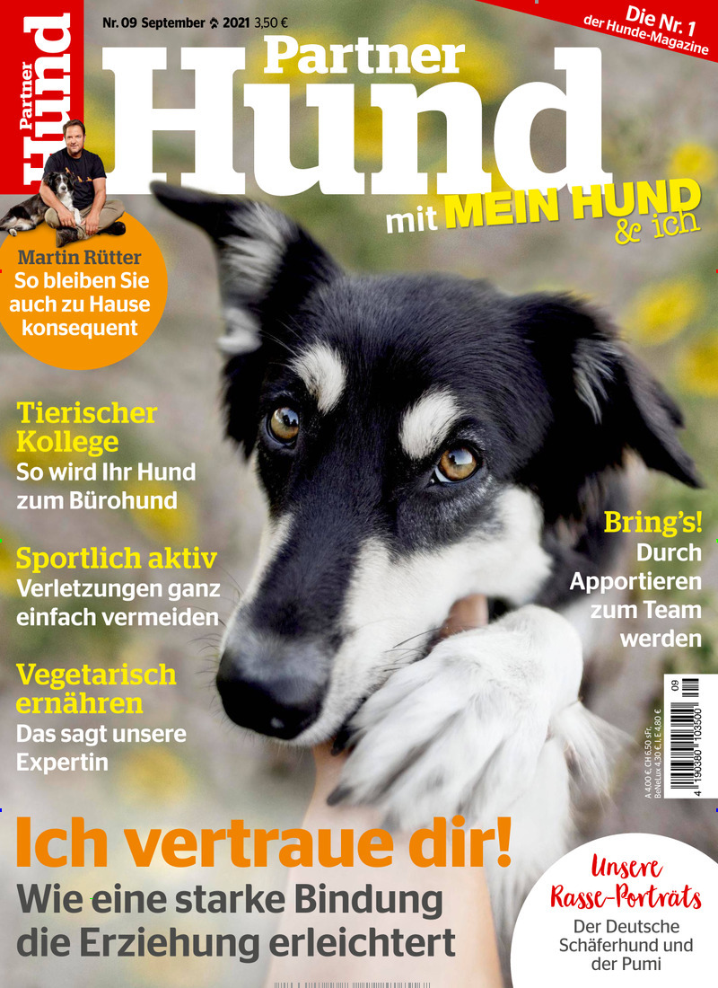 Partner Hund Abo 35 Rabatt auf Mini &amp; Geschenkabo Presseplus.de