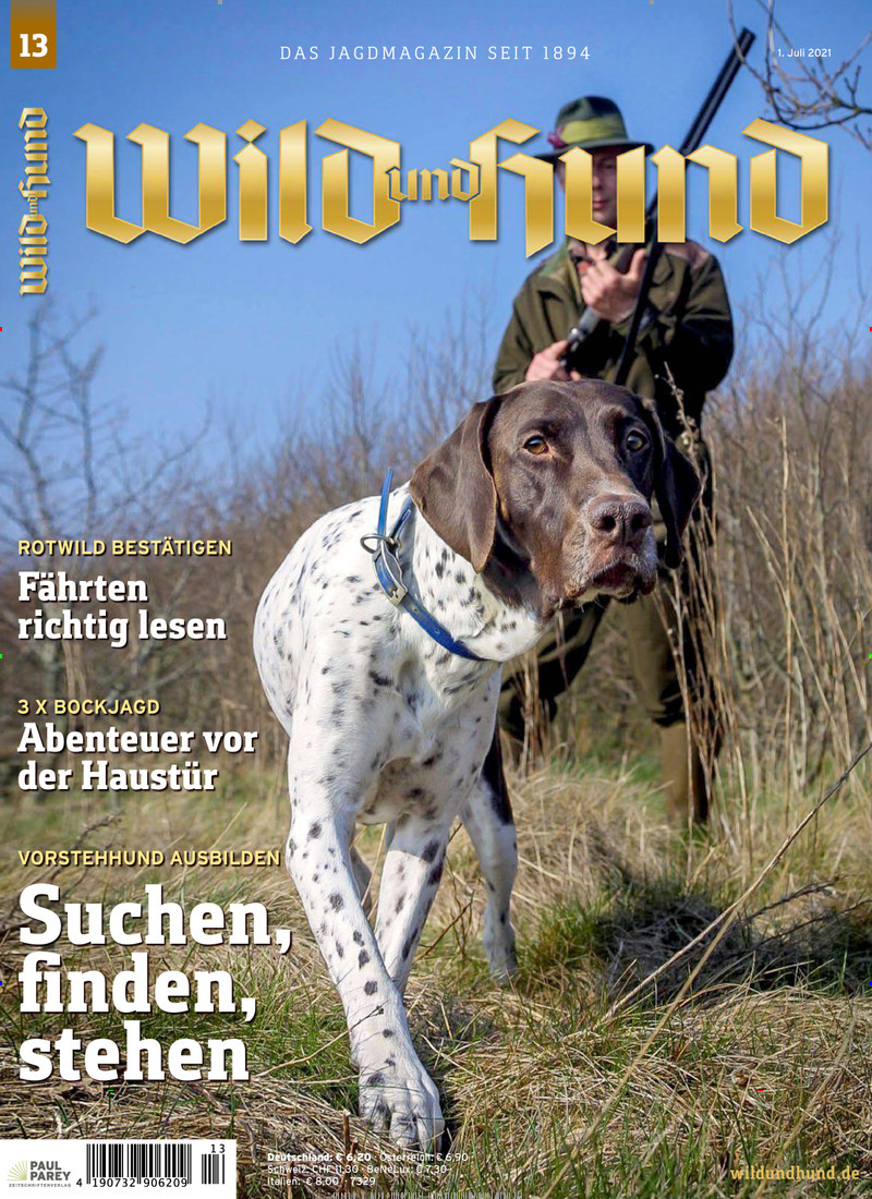 Wild und Hund Abo 35 Rabatt auf Mini &amp; Geschenkabo Presseplus.de