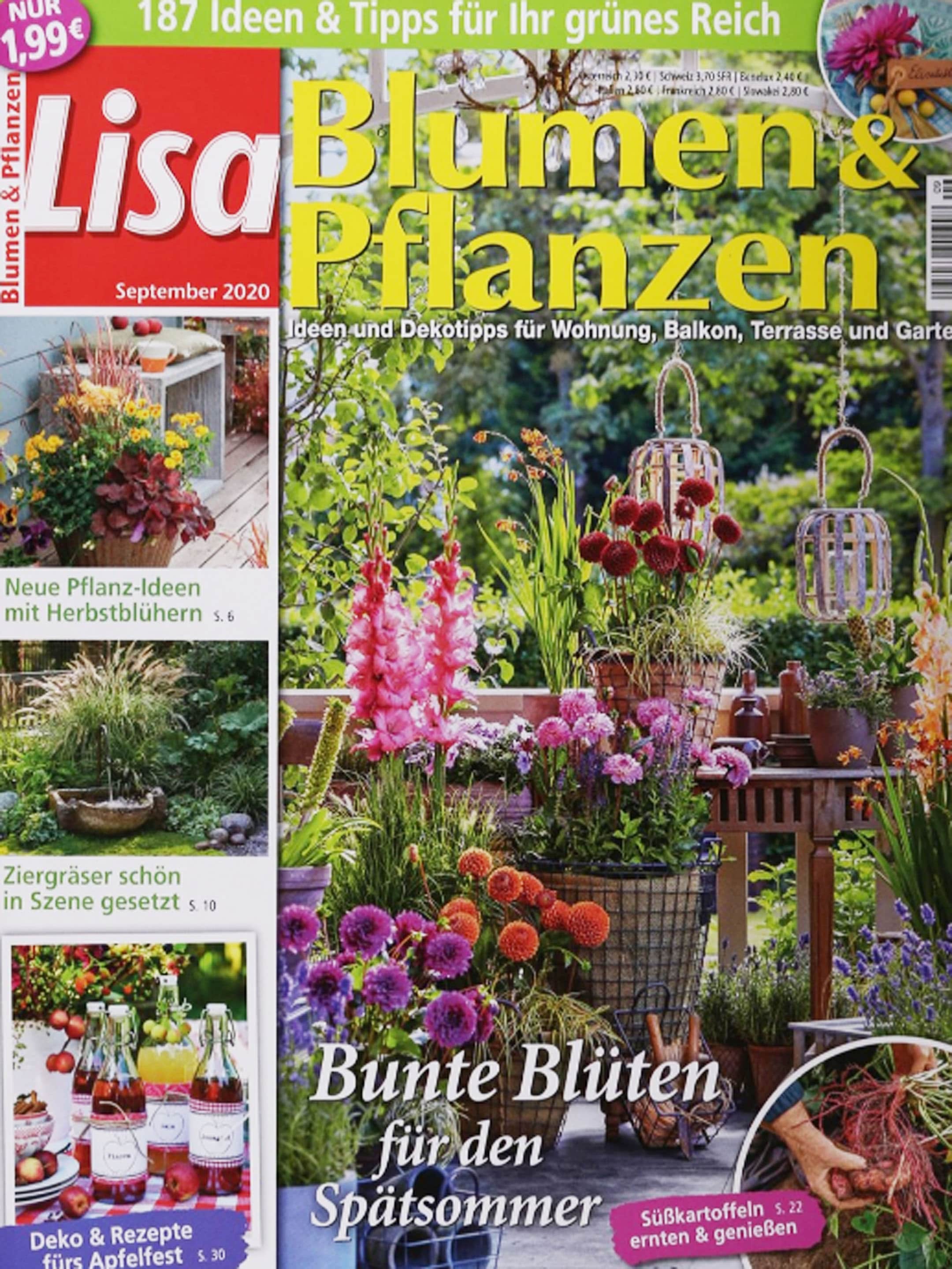 Lisa Blumen Pflanzen Abo 35 Rabatt Auf Mini Geschenkabo Presseshop Ch