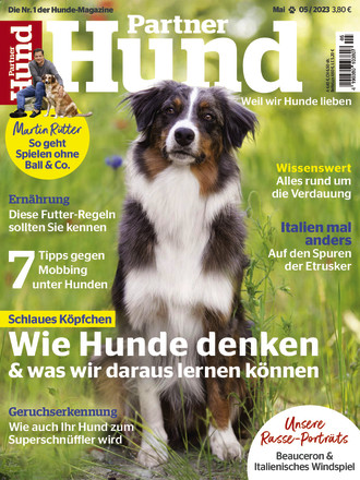 Cover des Mediums